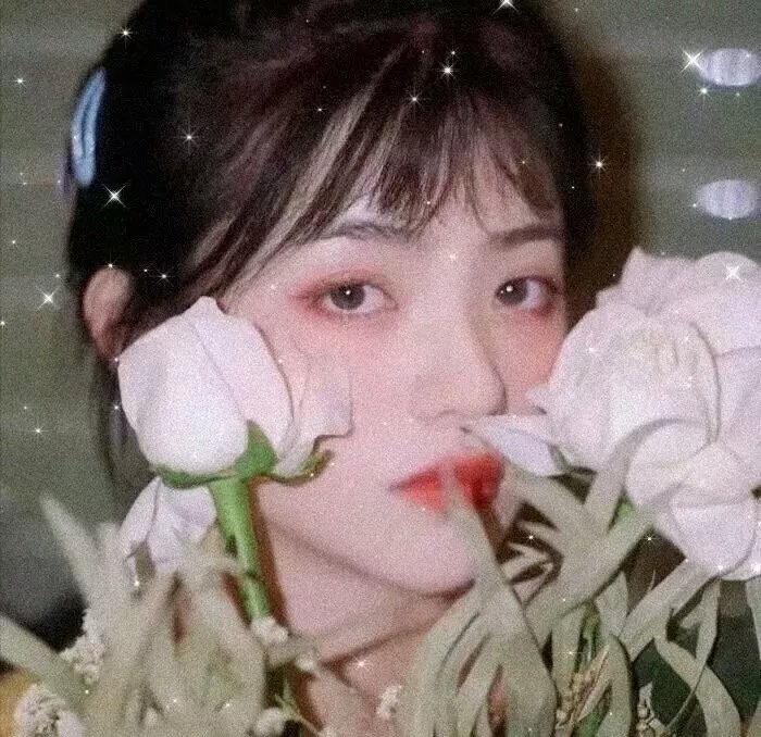 我的青春道馆 海报